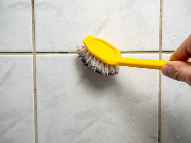 Best Black Mold Remediation in Lake Bryan, TX